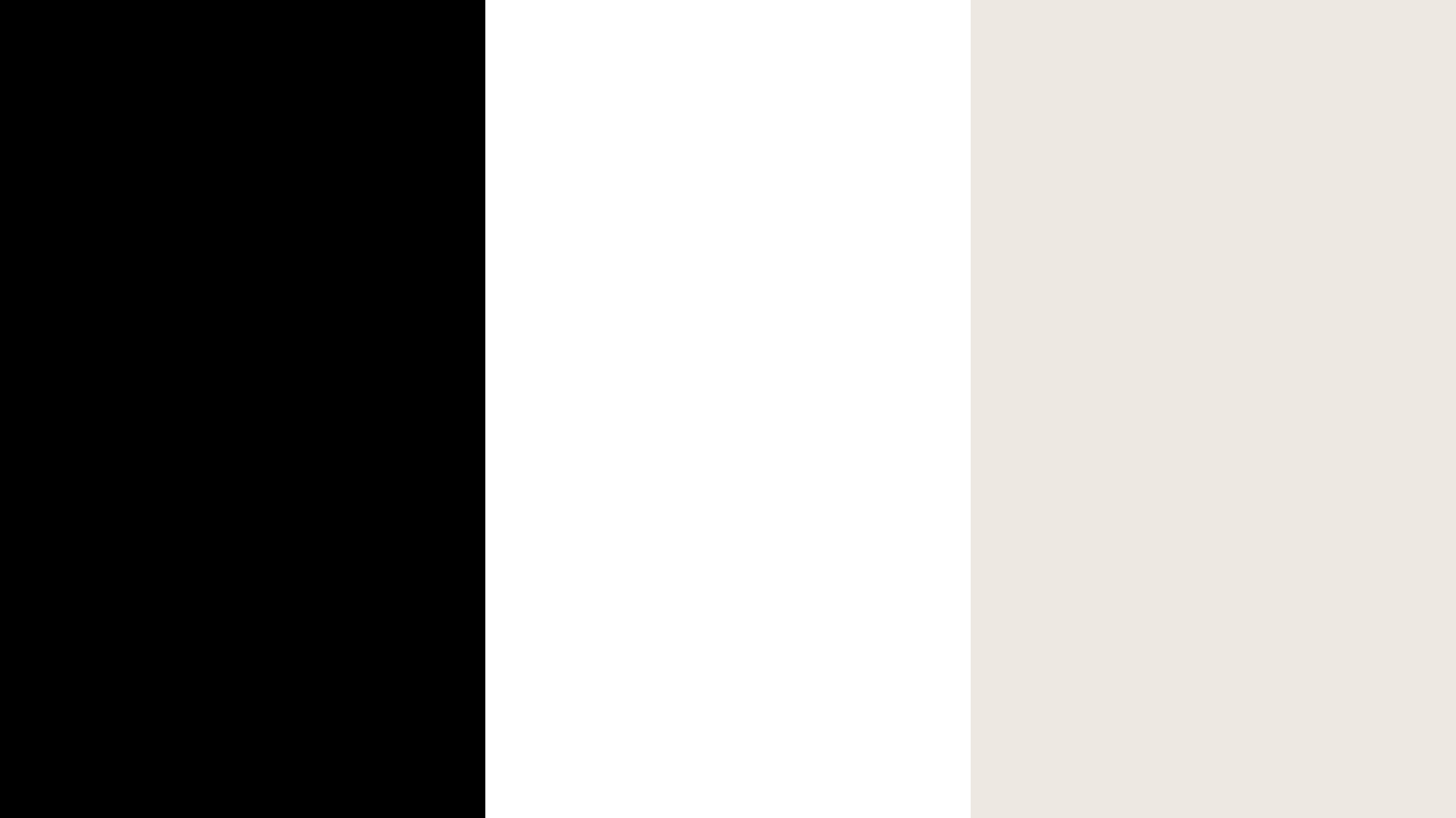 Caen monochrome colour palette and brand guideline exploration